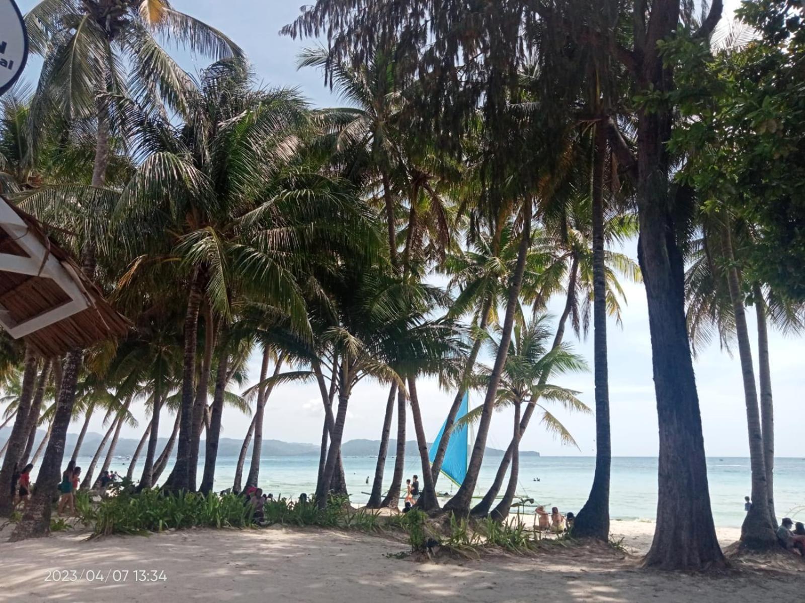 ホテル Boracay Coco Huts Balabag  エクステリア 写真