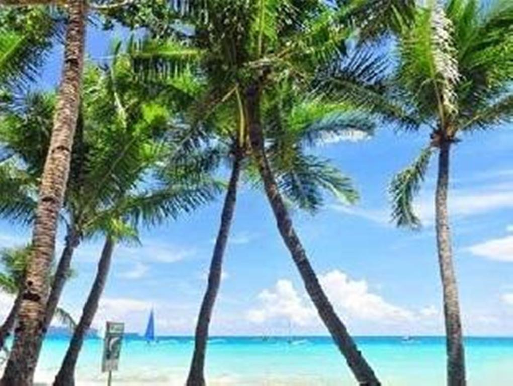 ホテル Boracay Coco Huts Balabag  エクステリア 写真